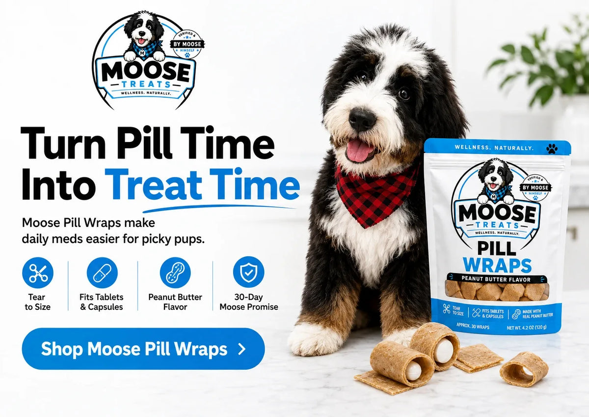 Turn pill time into treat time — Moose Pill Wraps peanut butter pouch beside wrapped pills